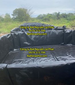ỨNG DỤNG CỦA MÀNG CHỐNG THẤM HDPE TRONG NUÔI TRỒNG THỦY SẢN 2020 HIỆU QUẢ CHO VIỆC LÓT AO HỒỨNG DỤNG CỦA MÀNG CHỐNG THẤM HDPE TRONG NUÔI TRỒNG THỦY SẢN 2020 HIỆU QUẢ CHO VIỆC LÓT AO HỒ NUÔI TÔM NUÔI TÔM