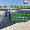 Bạt Lót Ao Hồ Chứa Trữ Nước Ngọt Sinh Hoạt tại Tiền Giang